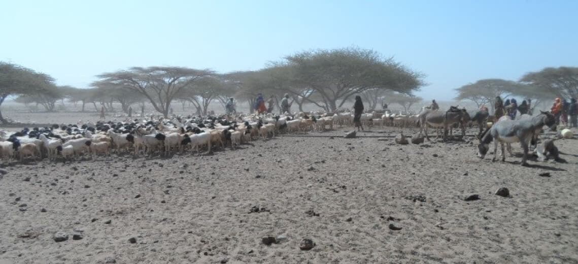 Kenya Emergency Response to Older Persons