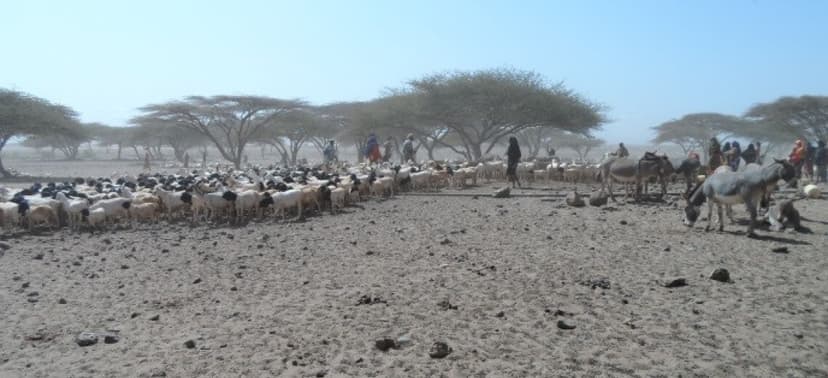 Community drought response