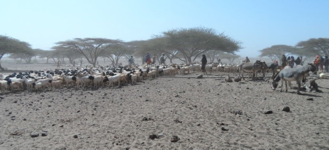 Kenya Emergency Response to Older Persons