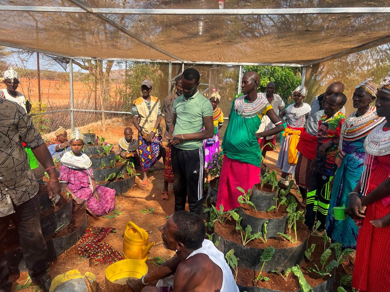 Sponsor a Grandparent (SAG) Project